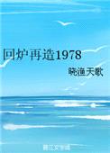 回炉再造1978封面