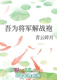 吾为将军解战袍封面