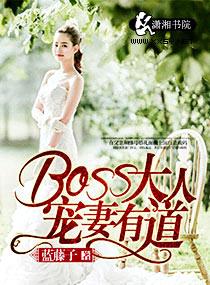 BOSS大人宠妻有道封面